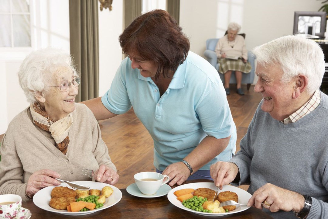 senior-couple-being-served-meal-by-carer